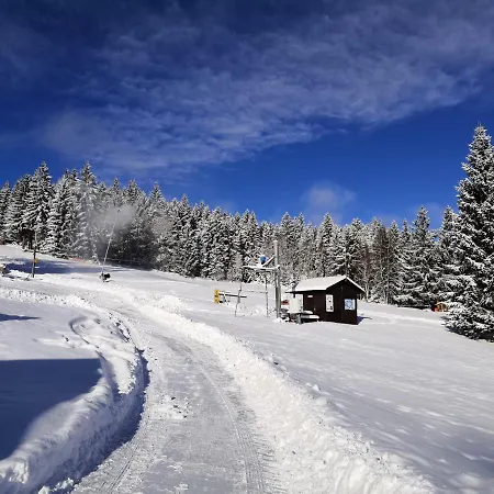 Guest house Penzion U Horejsu, Zadov - Churanov *