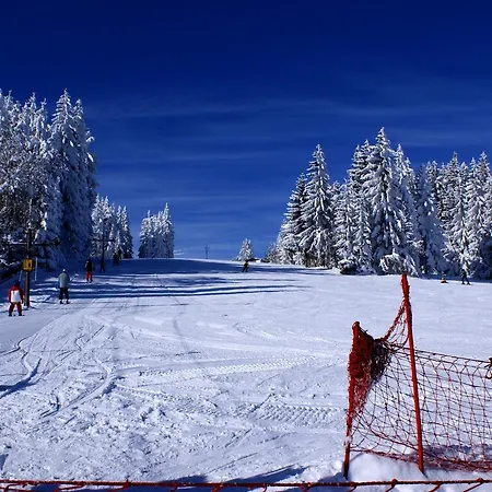 U Horejsu, Zadov - Churanov Гостевой дом 3*
